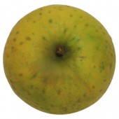 Ananasrenette, Apfel Busch, oben